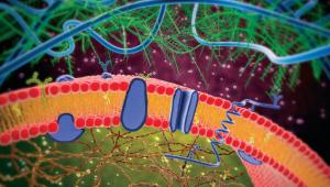 Lecture of The Nirit and Michael Shaoul Fund for Visiting Scholars and Fellows